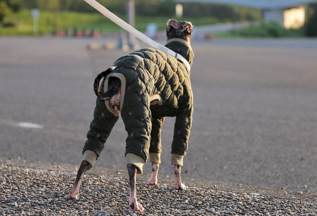 Mosaic quilt knit (olive) - Italian Greyhound Clothes