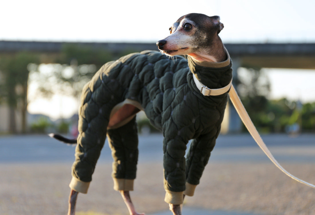 Mosaic quilt knit (olive) - Italian Greyhound Clothes