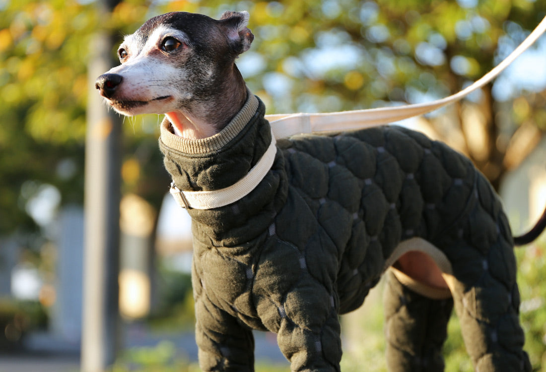 Mosaic quilt knit (olive) - Italian Greyhound Clothes