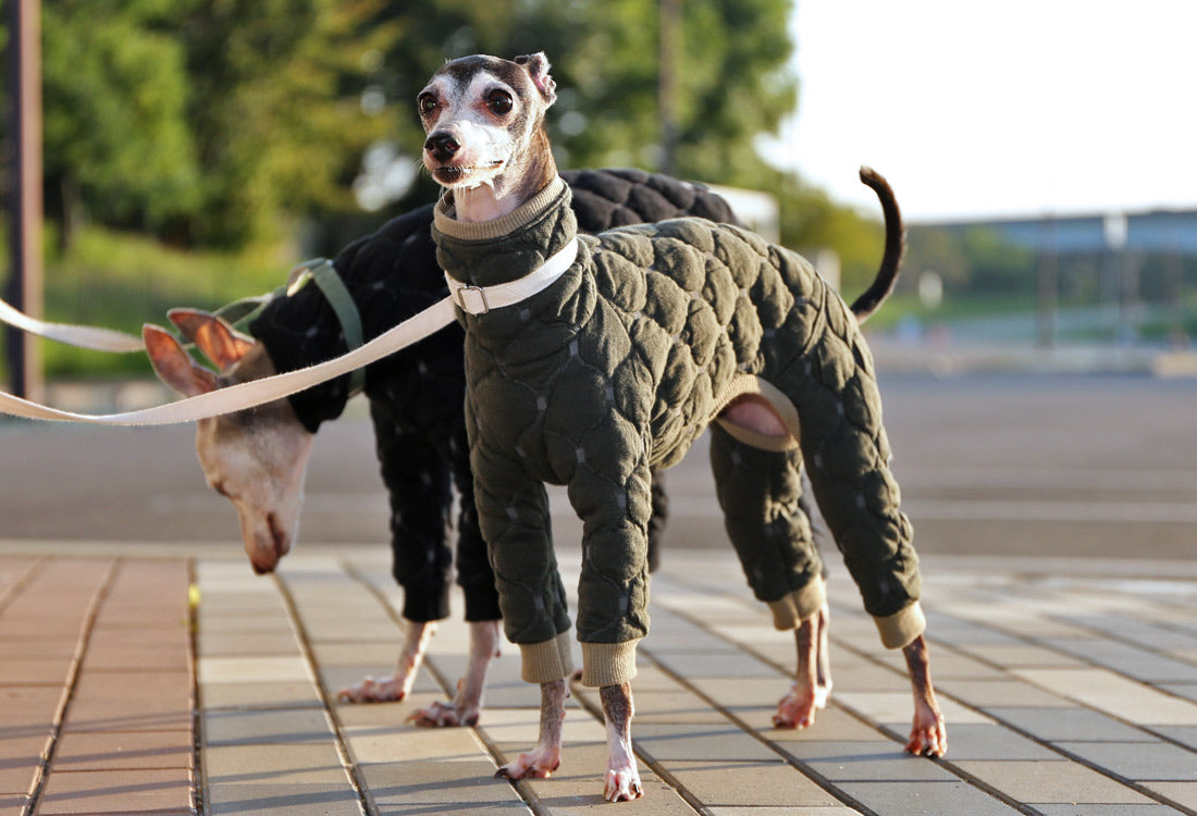 Mosaic quilt knit (olive) - Italian Greyhound Clothes