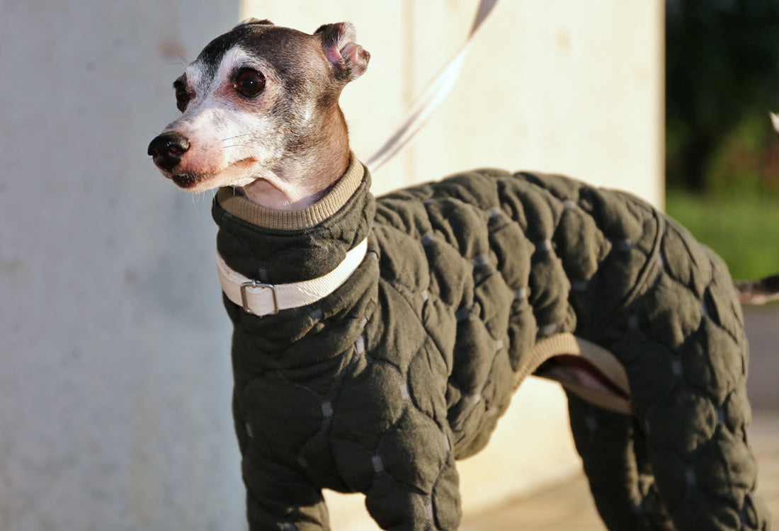 Mosaic quilt knit (olive) - Italian Greyhound Clothes