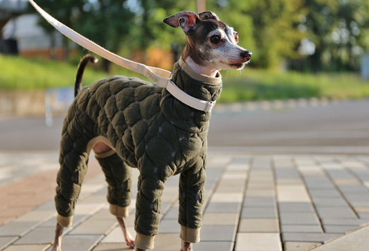 Mosaic quilt knit (olive) - Italian Greyhound Clothes