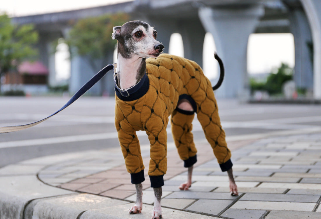 Mosaic quilt knit (camel) - Italian Greyhound Clothes