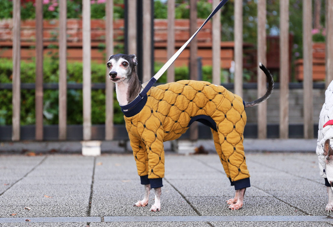 Mosaic quilt knit (camel) - Italian Greyhound Clothes