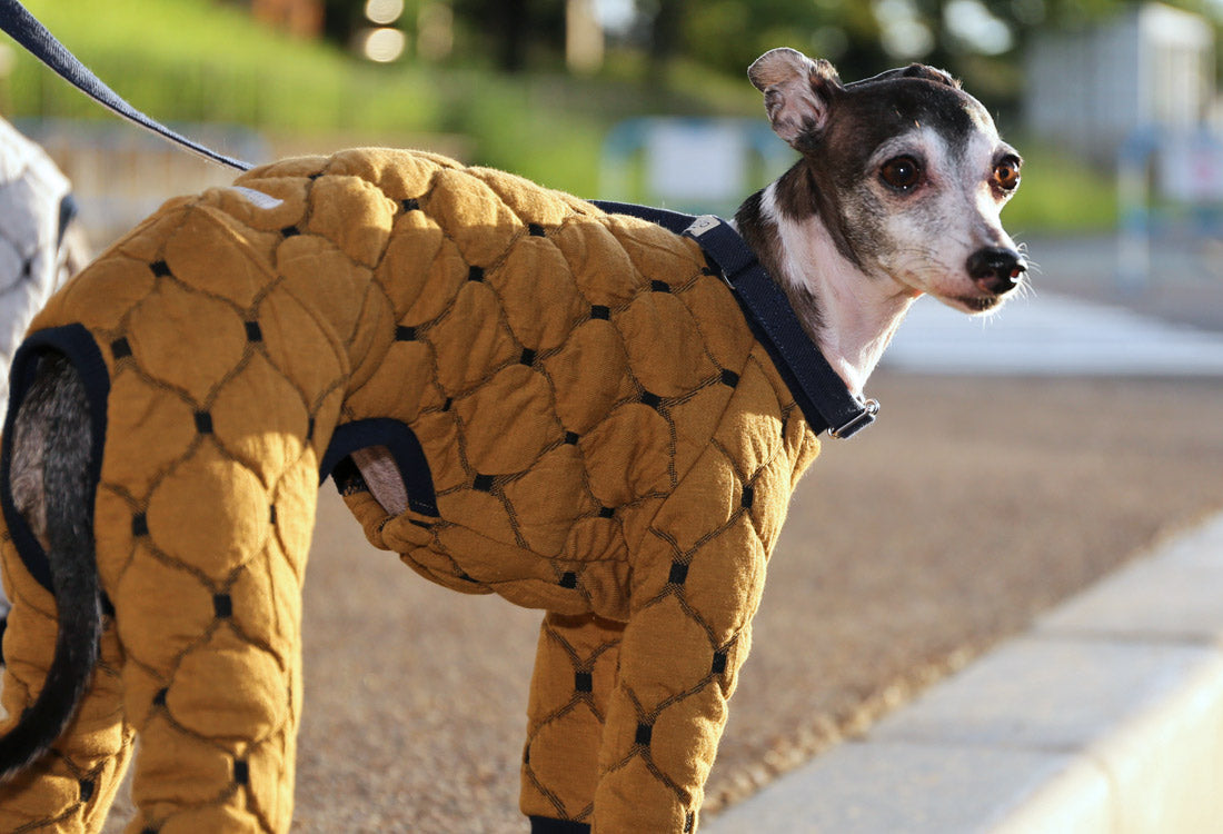 Mosaic quilt knit (camel) - Italian Greyhound Clothes