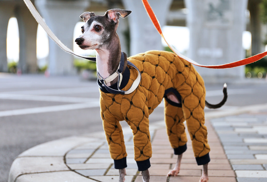 Mosaic quilt knit (camel) - Italian Greyhound Clothes