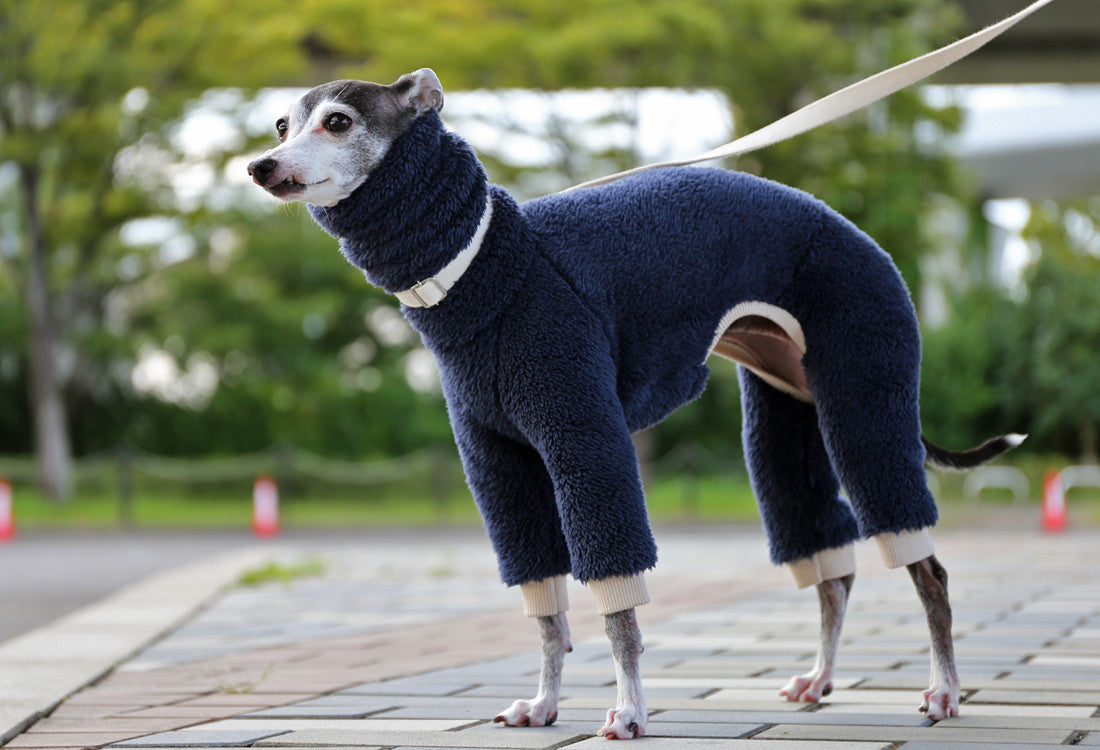 FUWA-Boa (navy blue) - Italian Greyhound Clothes