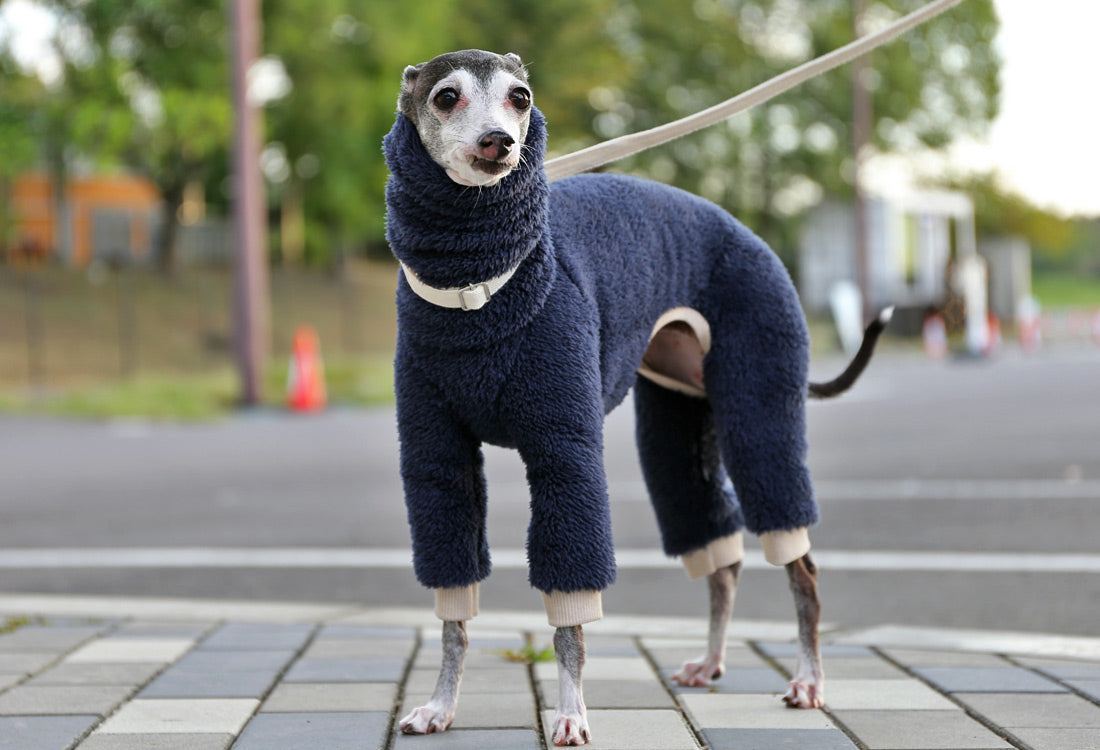 FUWA-Boa (navy blue) - Italian Greyhound Clothes