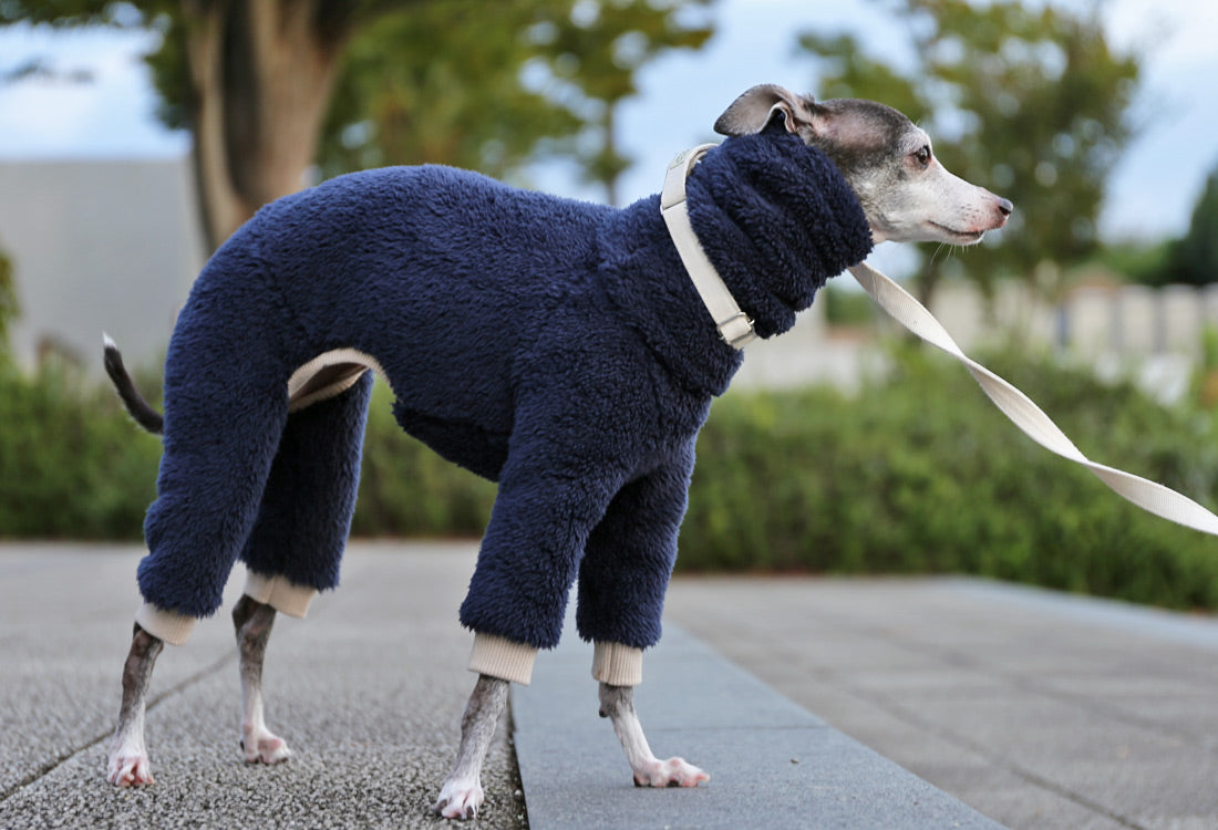 FUWA-Boa (navy blue) - Italian Greyhound Clothes