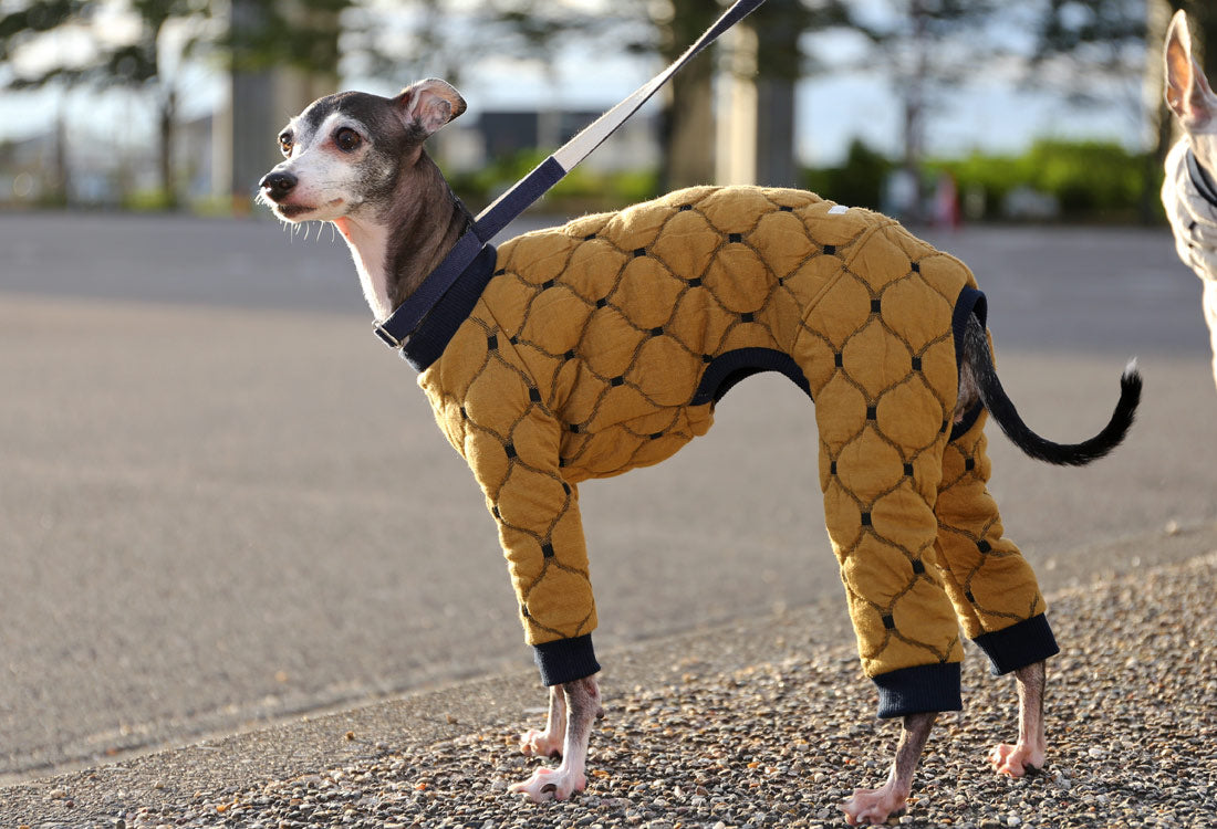 Mosaic quilt knit (camel) - Italian Greyhound Clothes