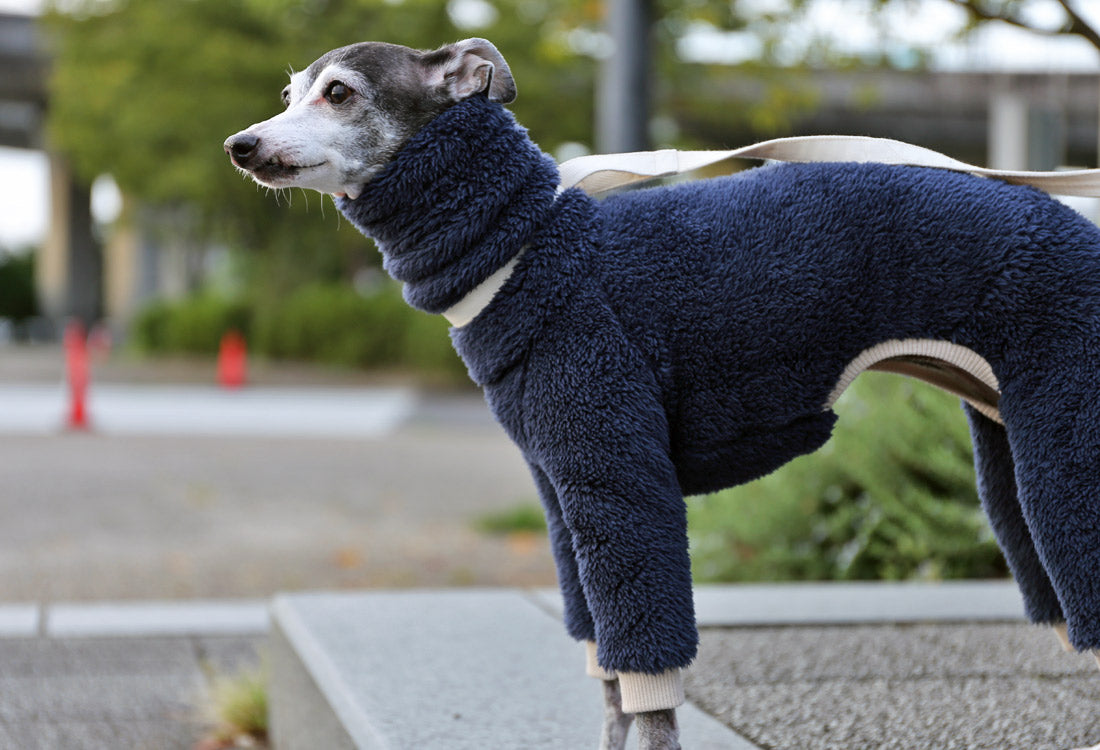 FUWA-Boa (navy blue) - Italian Greyhound Clothes
