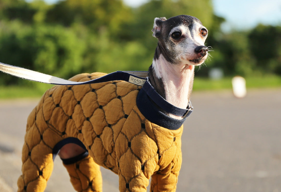 Mosaic quilt knit (camel) - Italian Greyhound Clothes