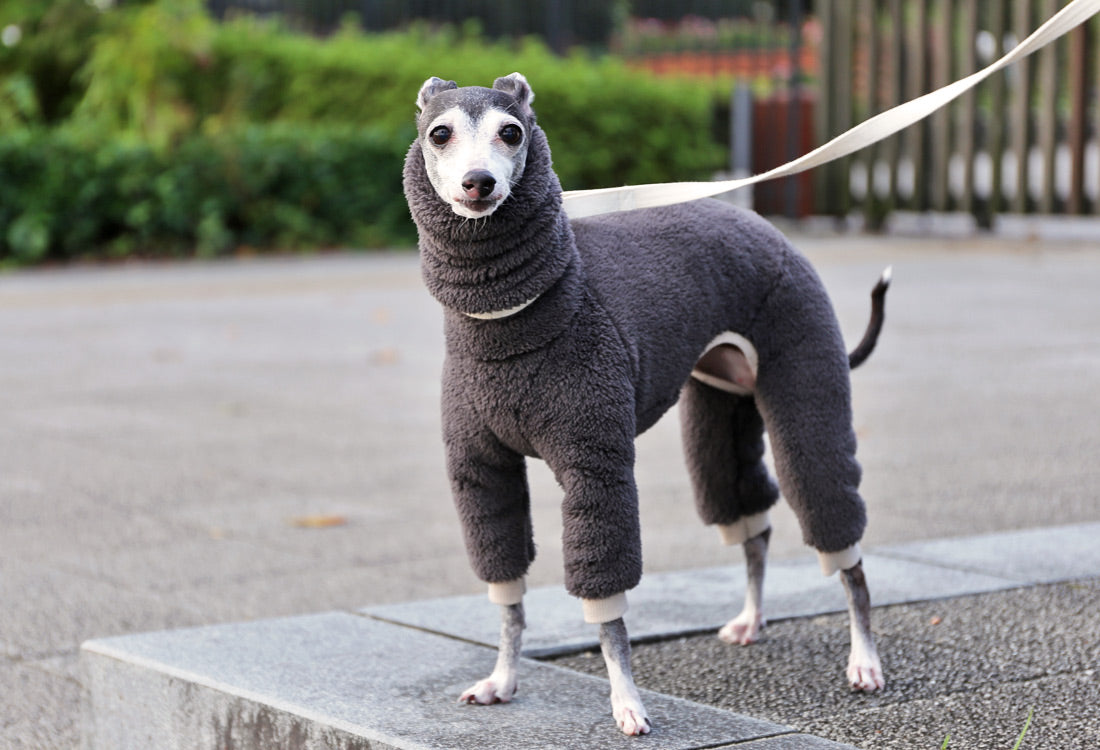 FUWA-Boa (rose grey) - Italian Greyhound Clothes