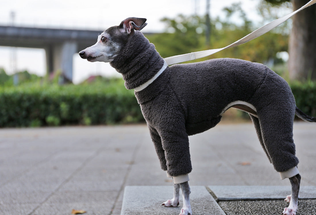 FUWA-Boa (rose grey) - Italian Greyhound Clothes