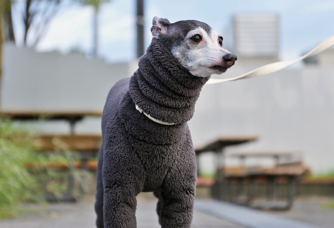 FUWA-Boa (rose grey) - Italian Greyhound Clothes