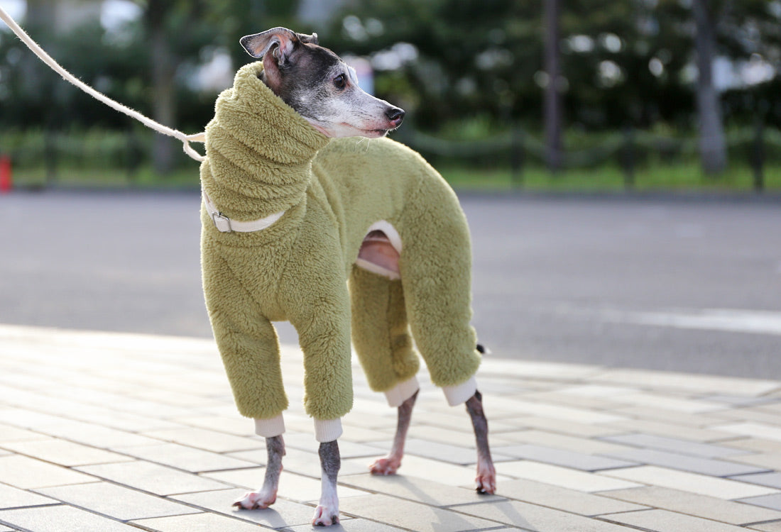 FUWA-Boa (uguisu) - Italian Greyhound Clothes