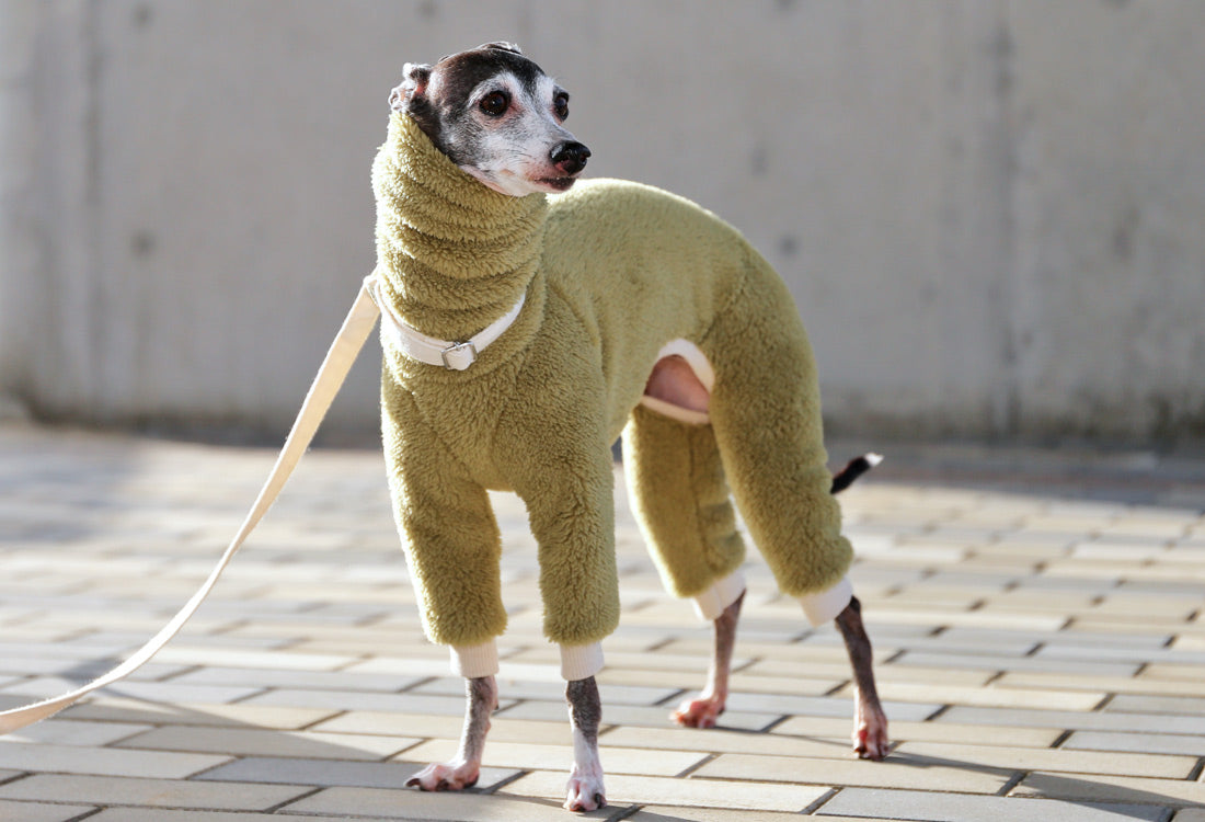 FUWA-Boa (uguisu) - Italian Greyhound Clothes