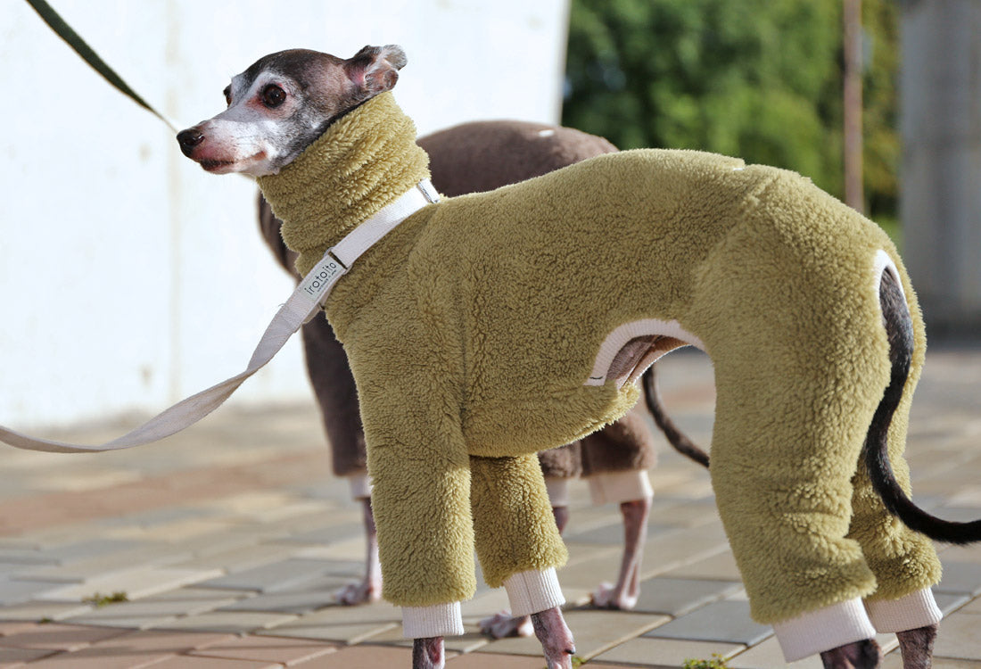 FUWA-Boa (uguisu) - Italian Greyhound Clothes