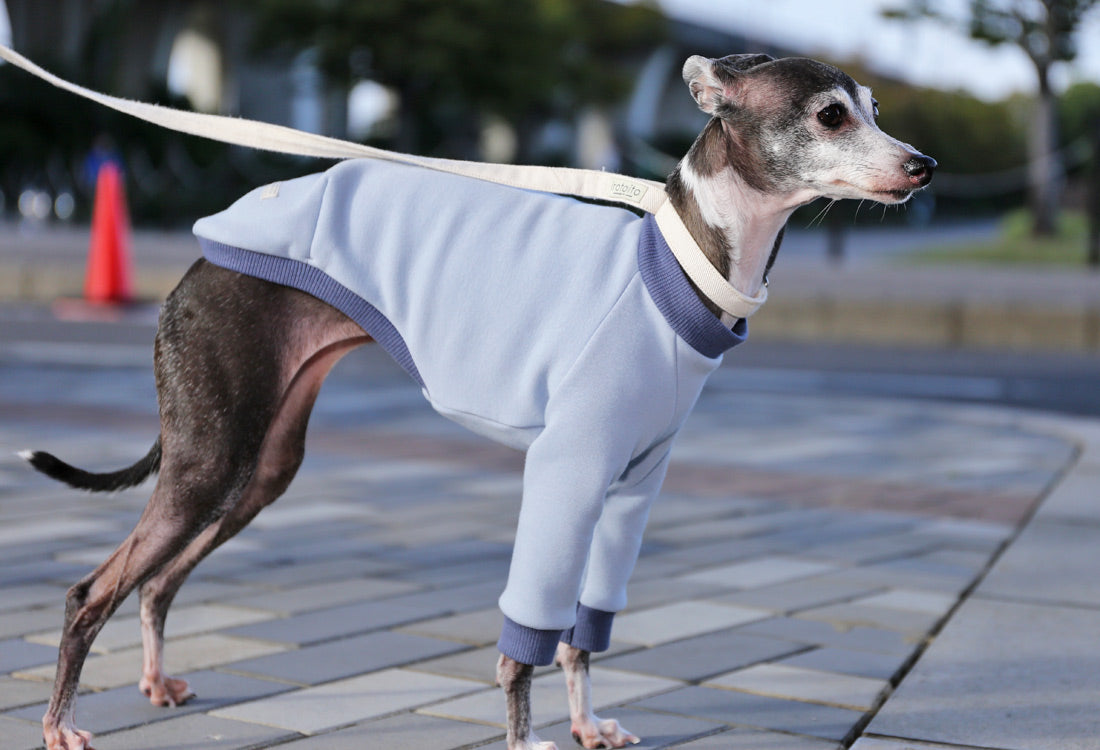 Just like a blanket (light blue) - Italian Greyhound Clothes