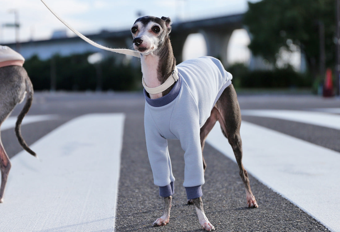 Just like a blanket (light blue) - Italian Greyhound Clothes