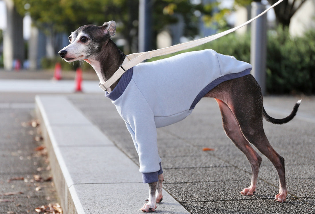 Just like a blanket (light blue) - Italian Greyhound Clothes