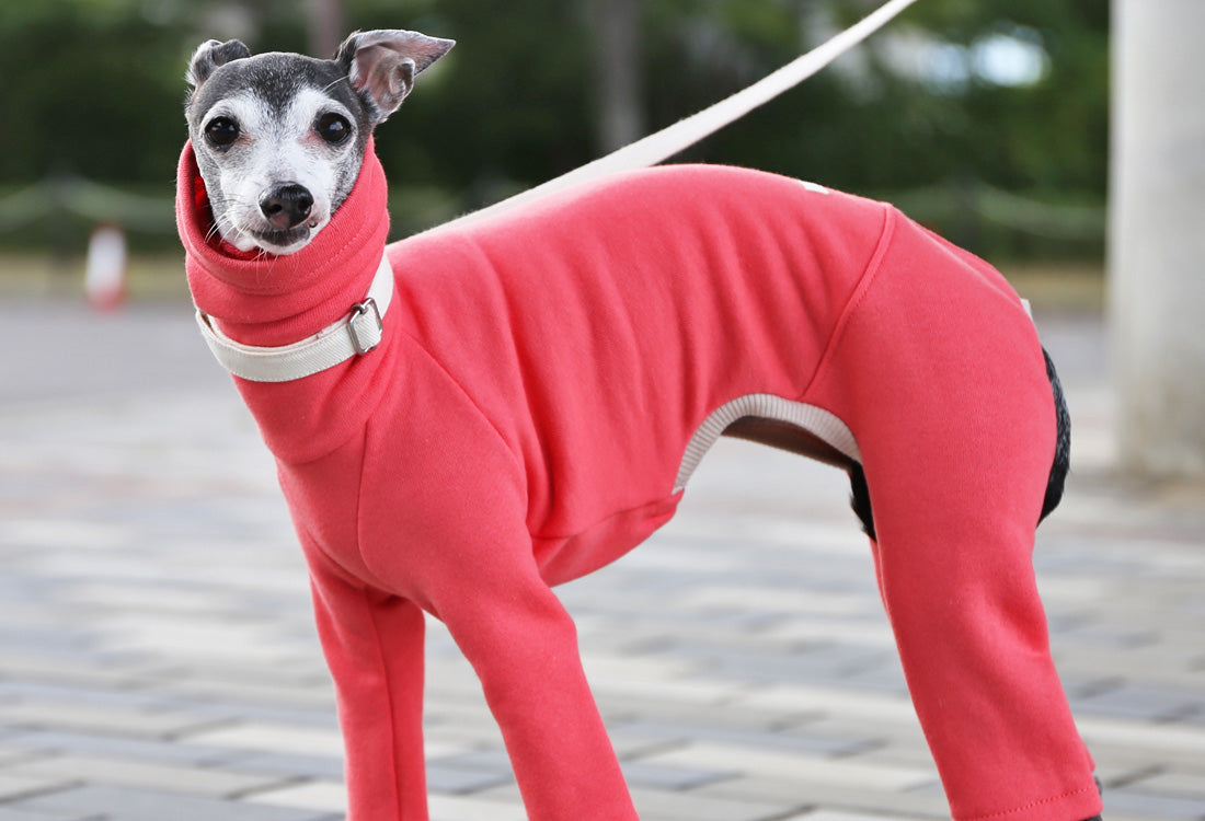 French terry knit (coral pink) - Italian Greyhound Clothes