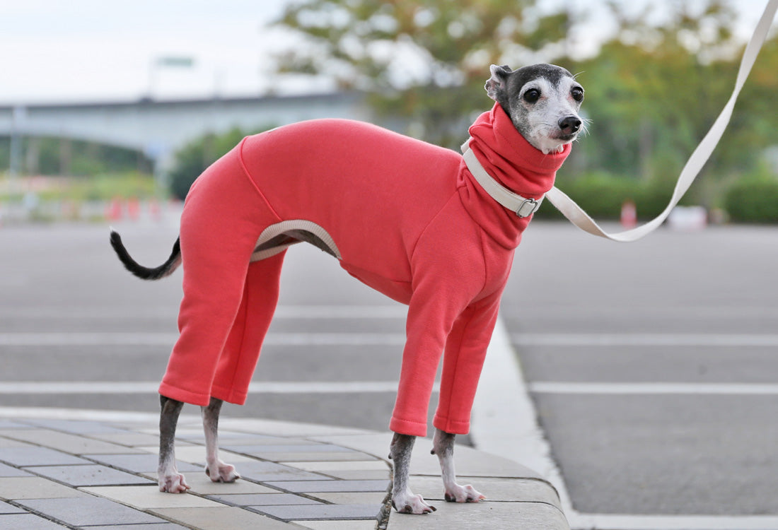 French terry knit (coral pink) - Italian Greyhound Clothes