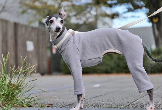 French terry knit (mist gray) - Italian Greyhound Clothes