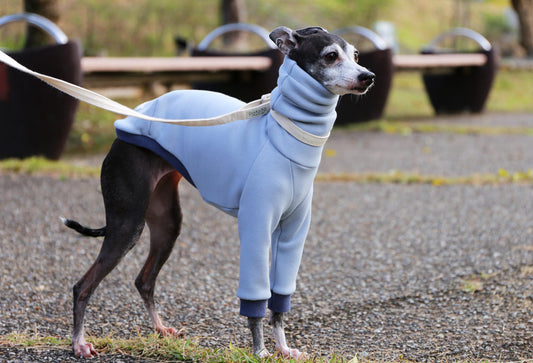 Just like a blanket (light blue) - Italian Greyhound Clothes