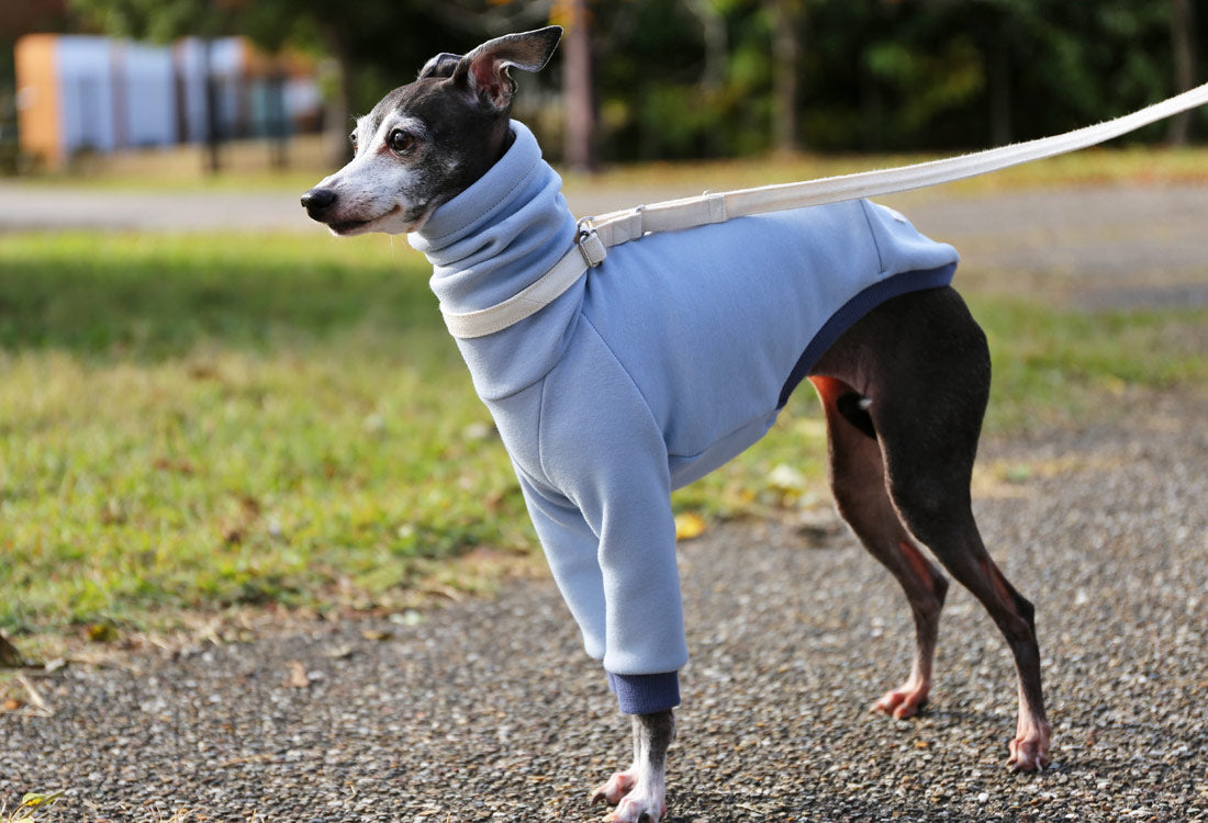 Just like a blanket (light blue) - Italian Greyhound Clothes