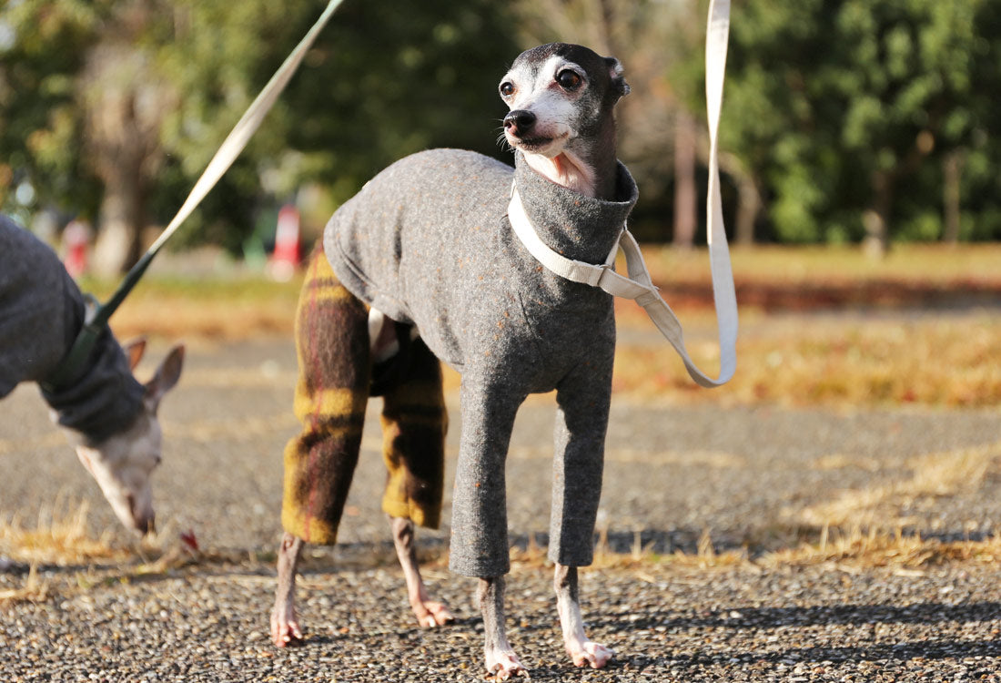 Wool-blend knit + Alpaca-blend shaggy knit ( brown) - Italian Greyhound Clothes