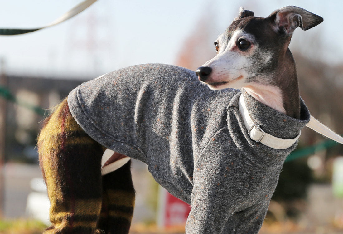 Wool-blend knit + Alpaca-blend shaggy knit ( brown) - Italian Greyhound Clothes