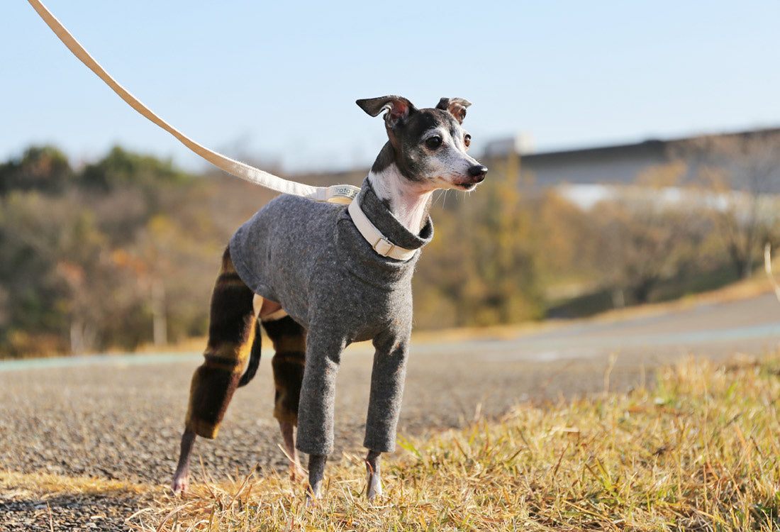 Wool-blend knit + Alpaca-blend shaggy knit ( brown) - Italian Greyhound Clothes