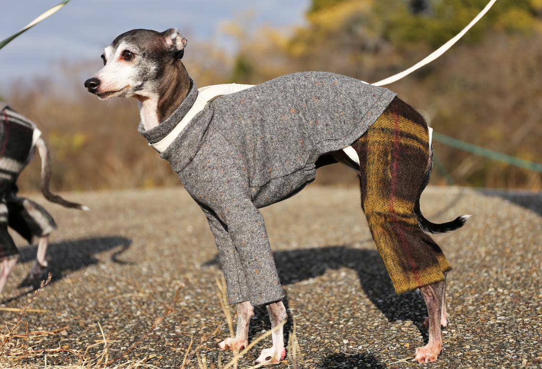 Wool-blend knit + Alpaca-blend shaggy knit ( brown) - Italian Greyhound Clothes