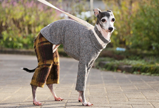 Wool-blend knit + Alpaca-blend shaggy knit ( brown) - Italian Greyhound Clothes