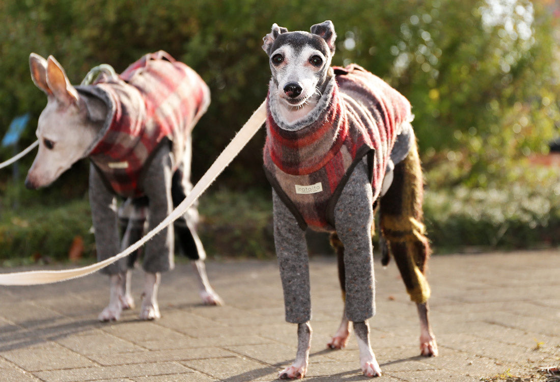 Shaggy Wool Vest- Italian Greyhound Clothes