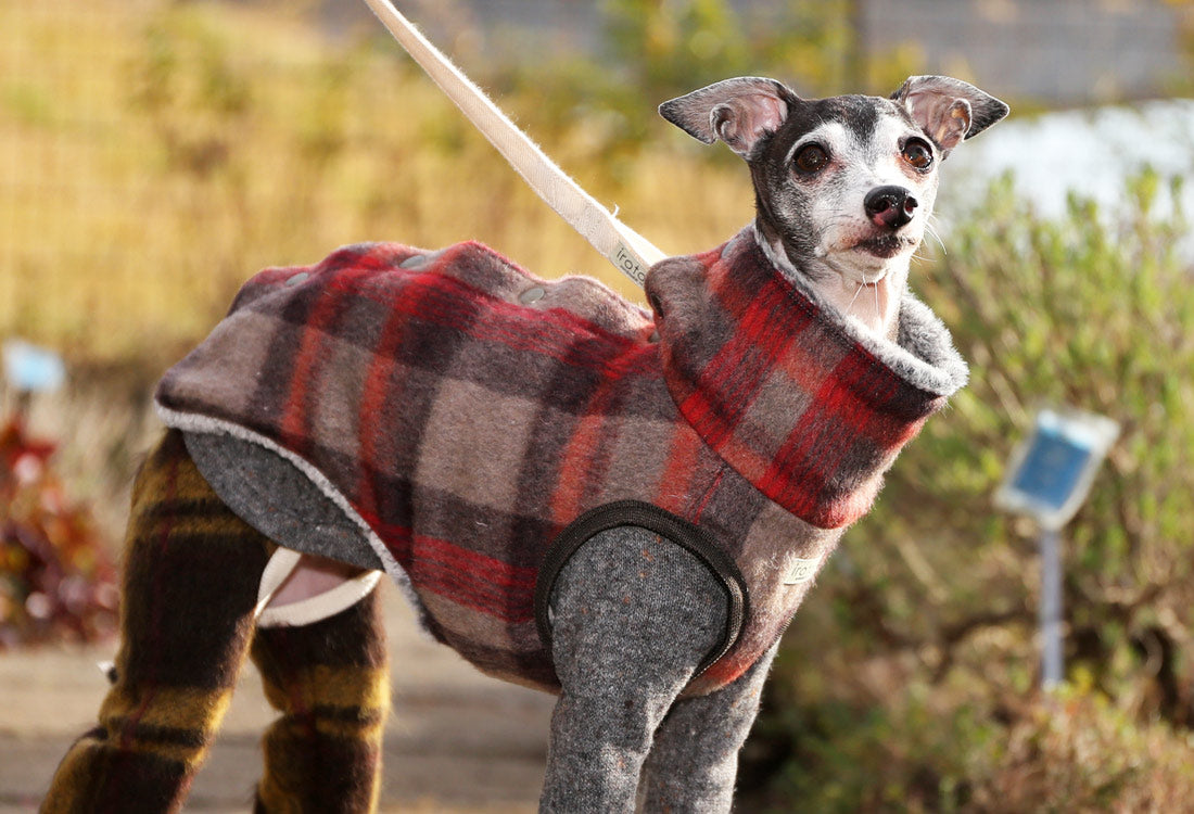 Shaggy Wool Vest- Italian Greyhound Clothes