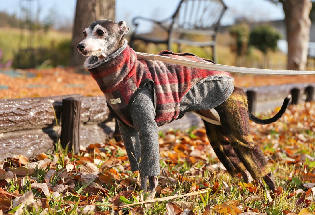 Shaggy Wool Vest- Italian Greyhound Clothes