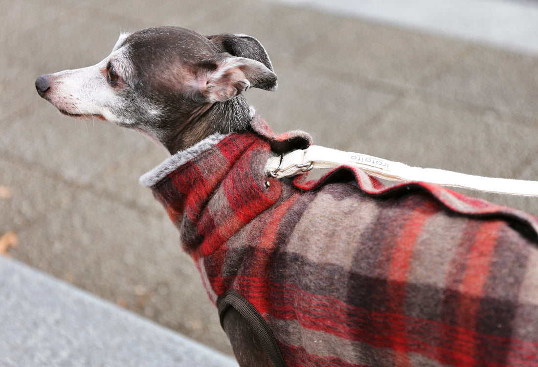 Shaggy Wool Vest- Italian Greyhound Clothes