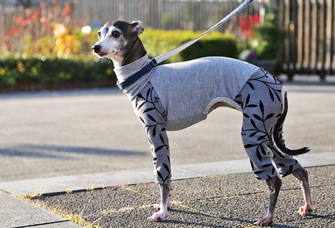 Flocked print knit with a botanical pattern (gray) - Italian Greyhound Clothes