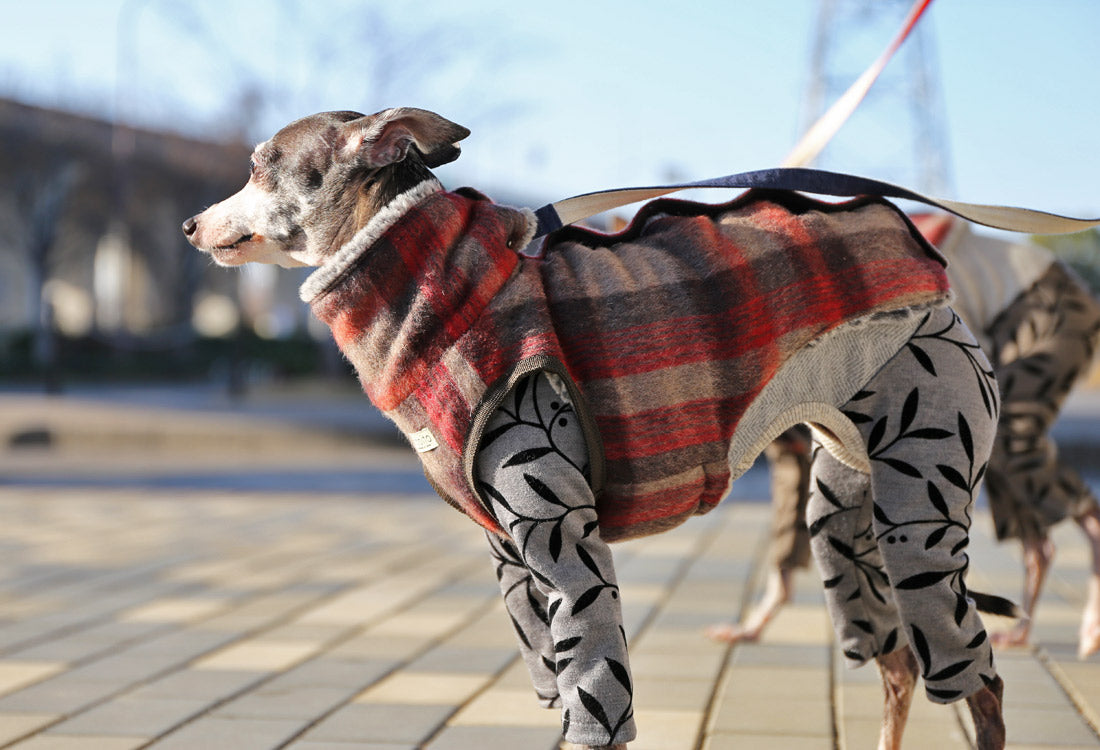 Shaggy Wool Vest- Italian Greyhound Clothes