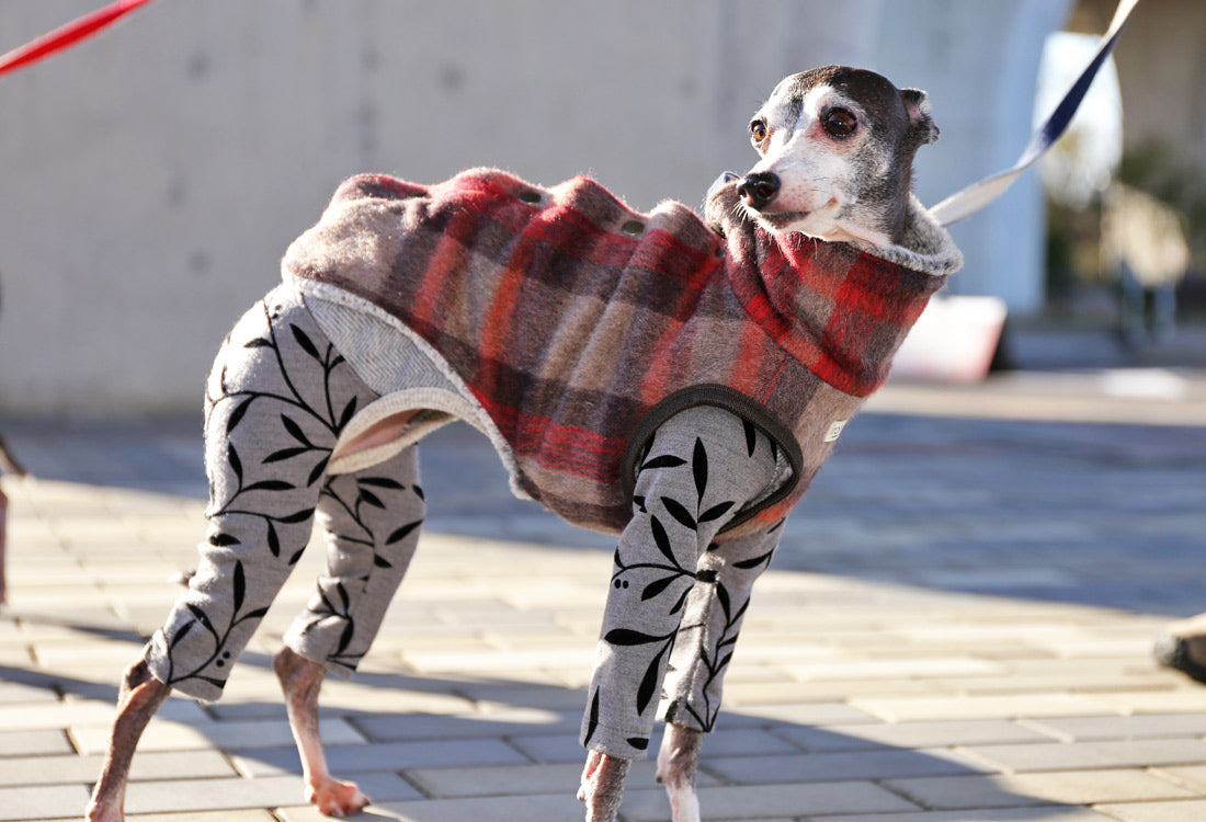 Shaggy Wool Vest- Italian Greyhound Clothes