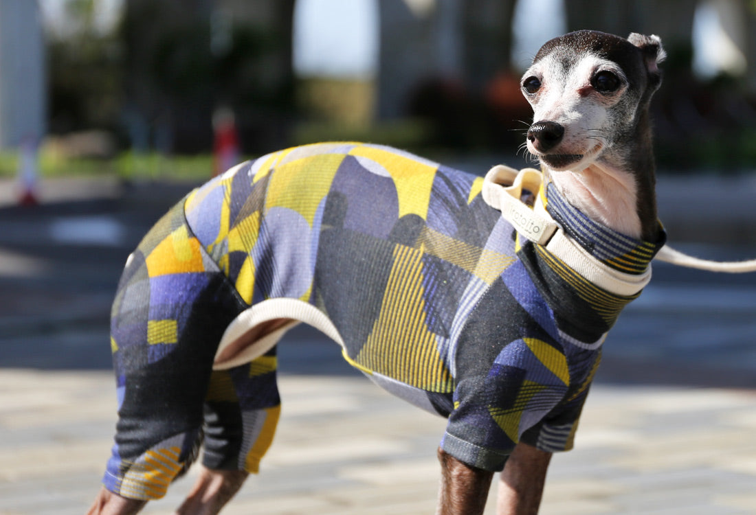 Numbers (blue) - Italian Greyhound Clothes