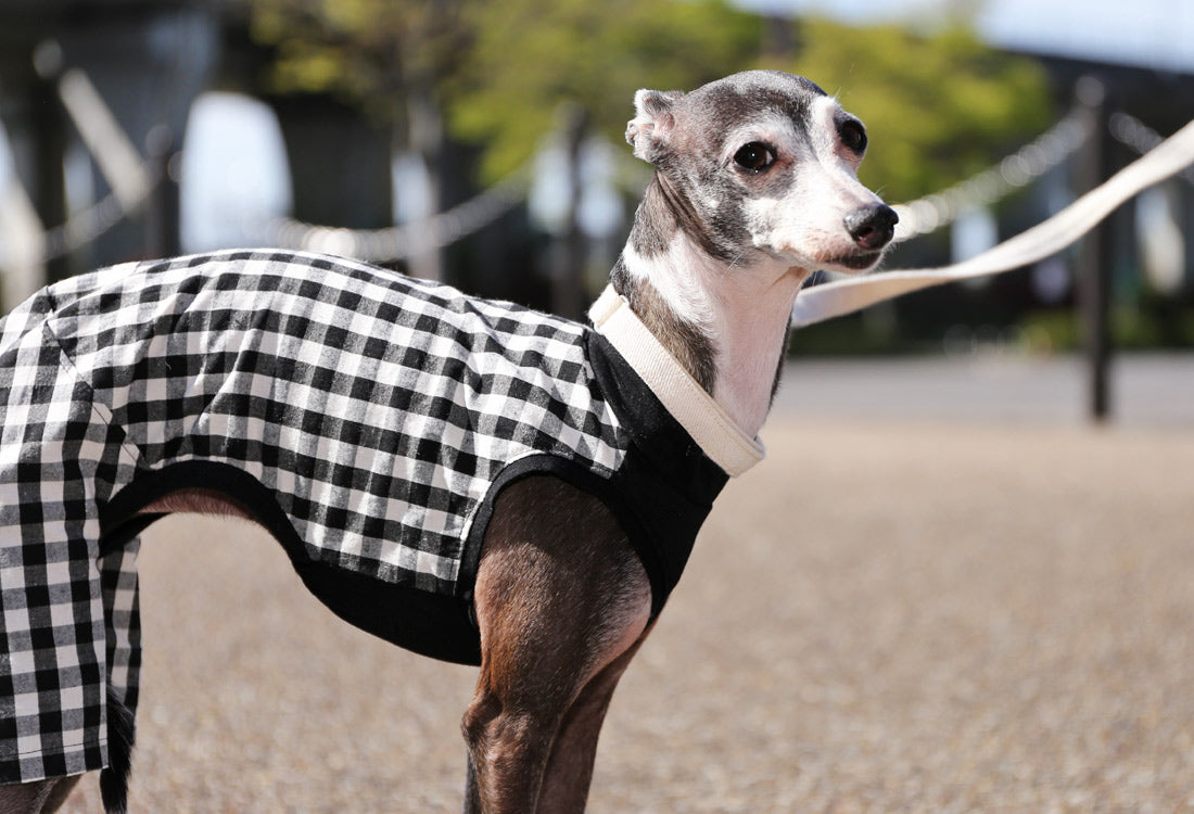 Checked cotton linen fabric (black) - Italian Greyhound Clothes