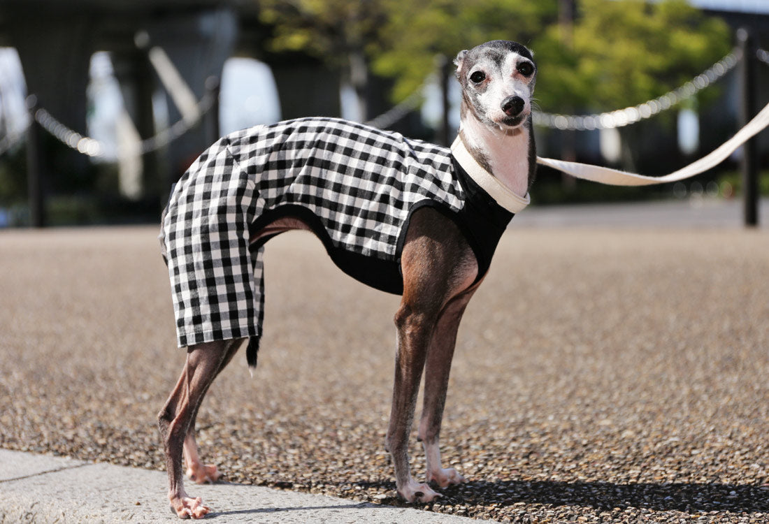 Checked cotton linen fabric (black) - Italian Greyhound Clothes