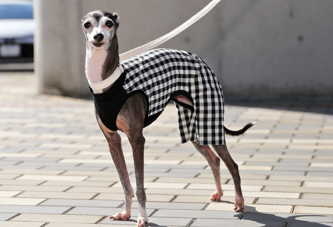 Checked cotton linen fabric (black) - Italian Greyhound Clothes