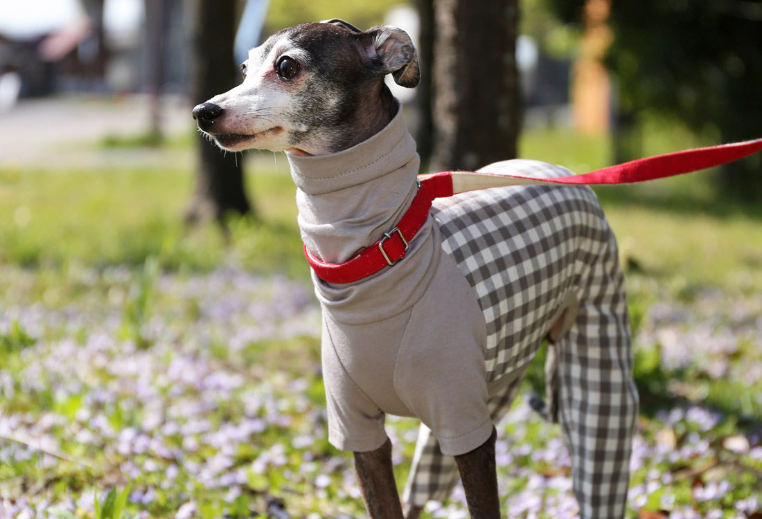 Checked cotton linen fabric (greige) - Italian Greyhound Clothes