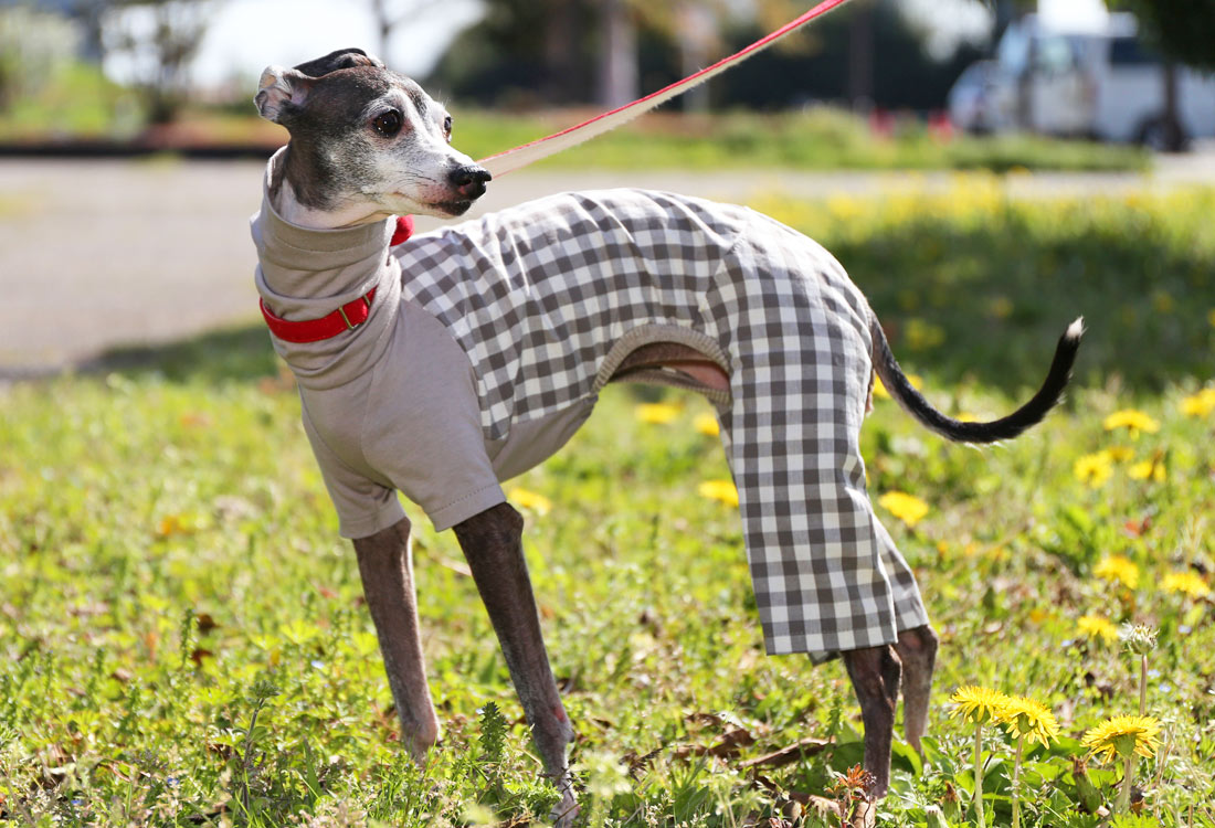 Checked cotton linen fabric (greige) - Italian Greyhound Clothes