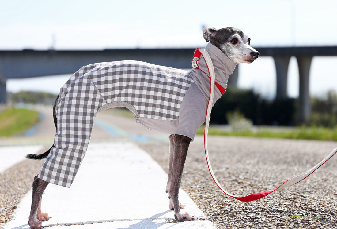 Checked cotton linen fabric (greige) - Italian Greyhound Clothes