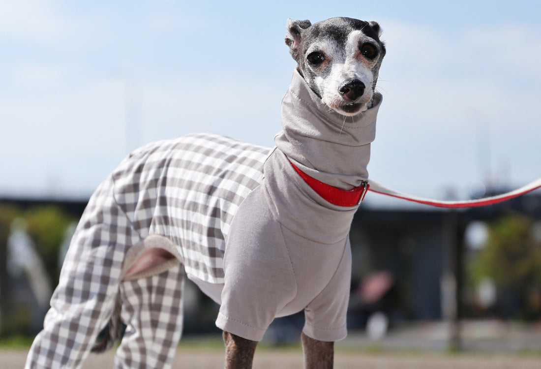 Checked cotton linen fabric (greige) - Italian Greyhound Clothes